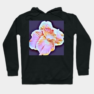 White, Pink, Marron, Gold, Tropical Canna Lily with Purple Background Hoodie